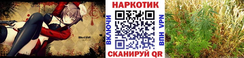 Купить закладку КОКАИН  A PVP  ГАШ  Канабис  МЕФ  Муравленко