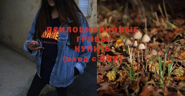 гидропоника Бородино