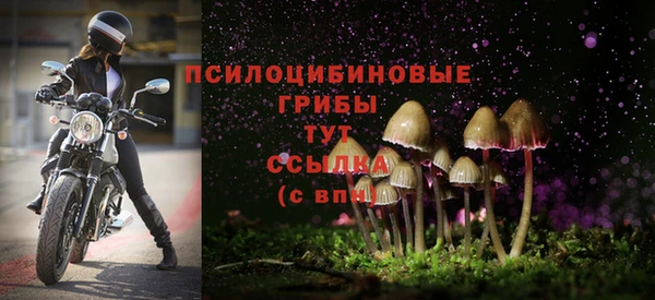 герыч Бронницы