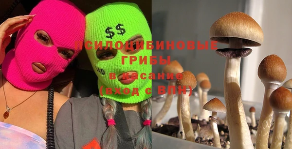 герыч Бронницы