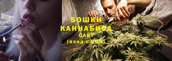 гашик Богородицк
