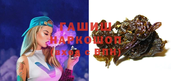 мдпв Богородск