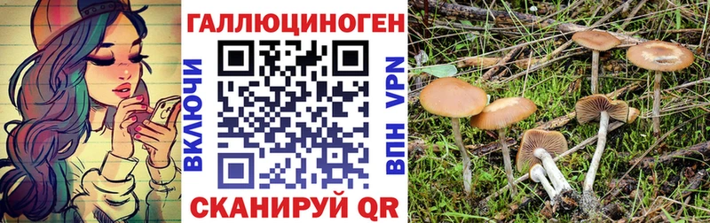Купить где  Муравленко  Псилоцибиновые грибы мухоморы 