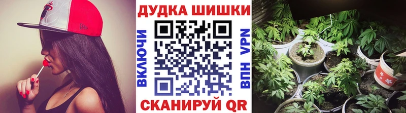 Купить где  Муравленко  Бошки марихуана OG Kush 